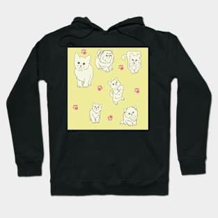 Cream White Kittens Hoodie